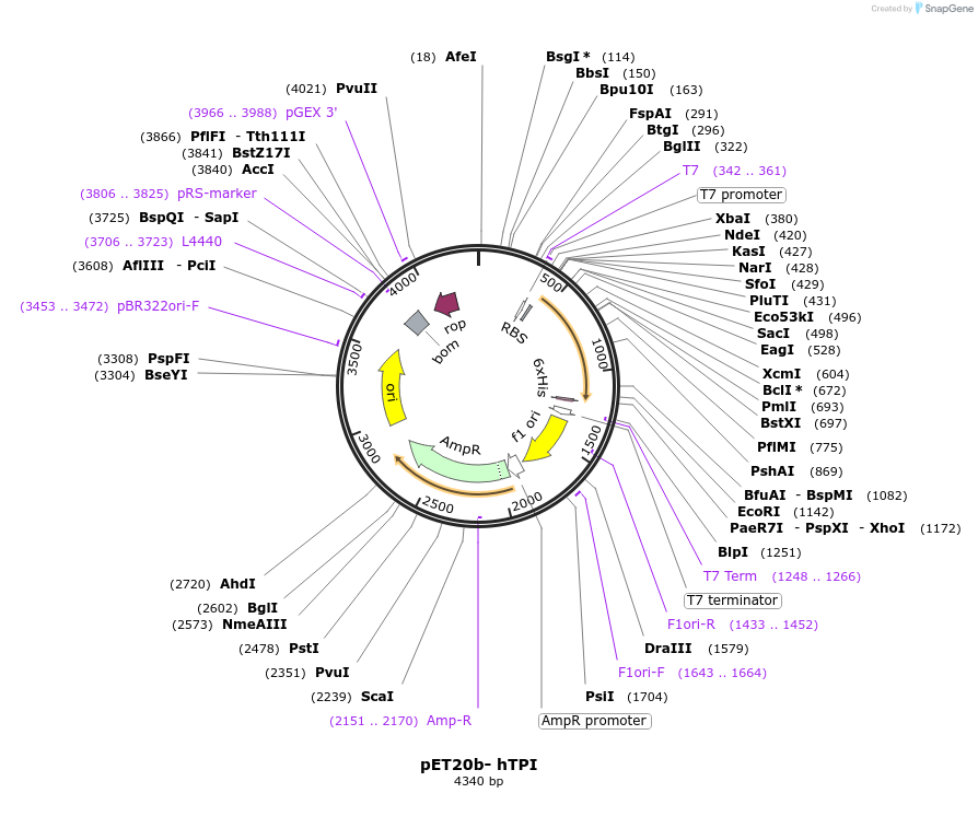 76068_map