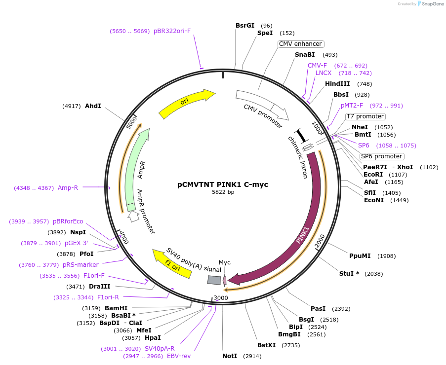 7607_map