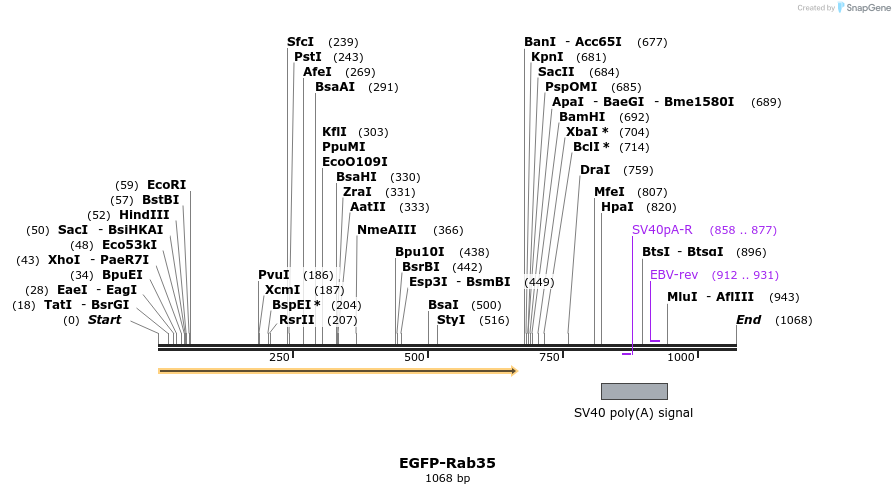 76070_map