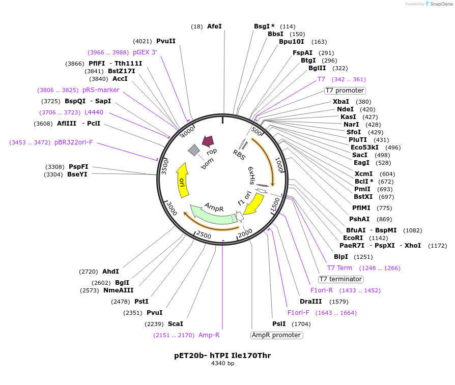 76072_map