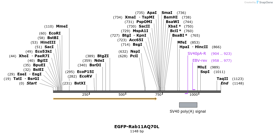 76074_map