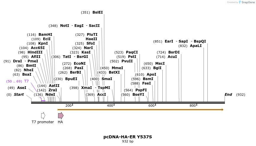 76076_map