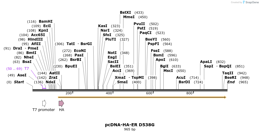 76077_map