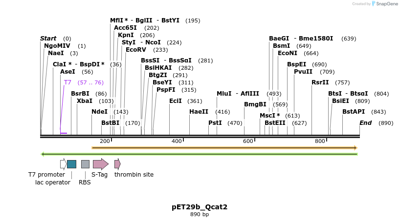 76079_map
