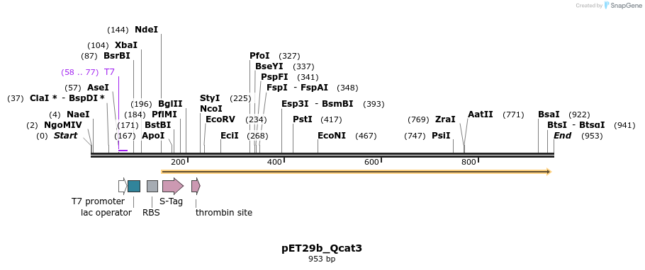 76080_map