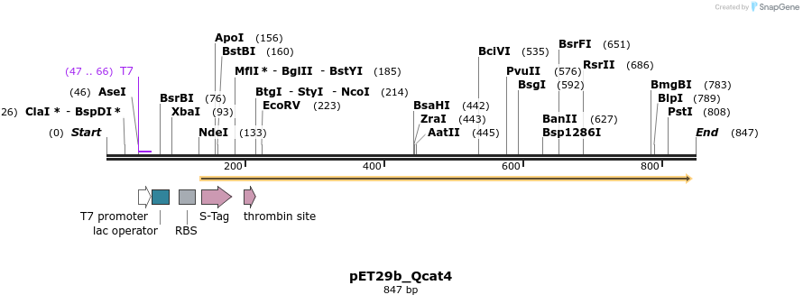 76081_map