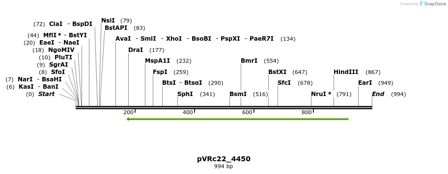 76082_map