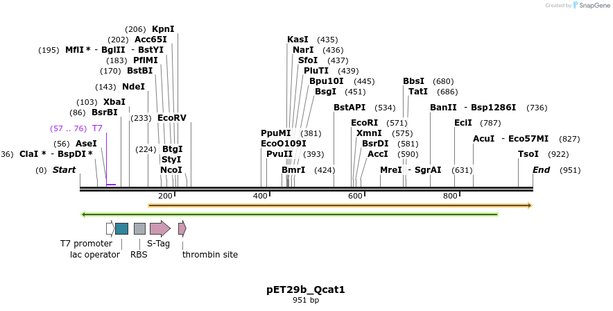 76090_map