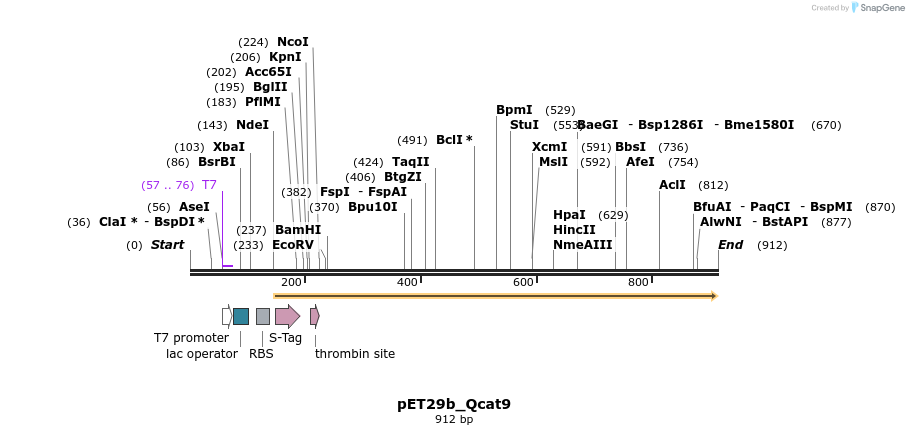 76094_map