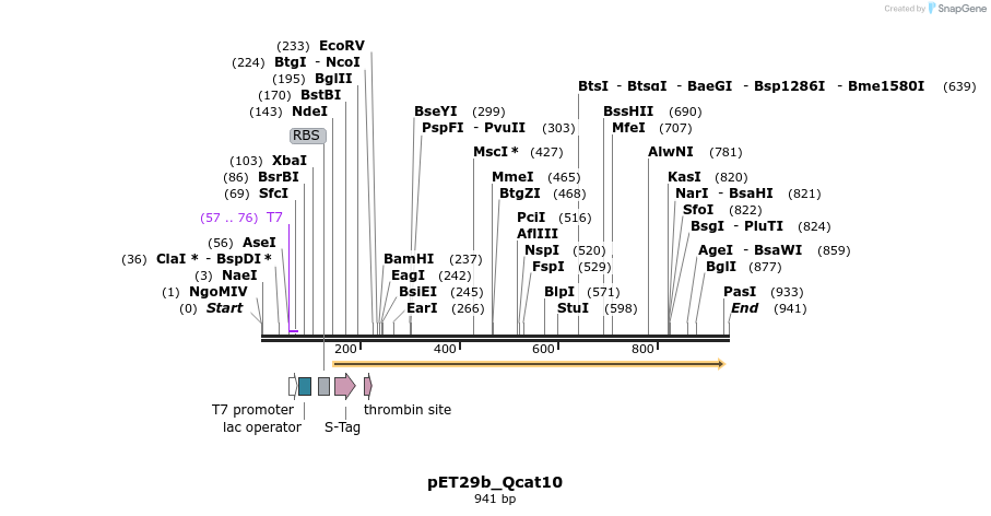 76095_map