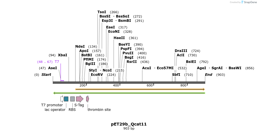 76097_map