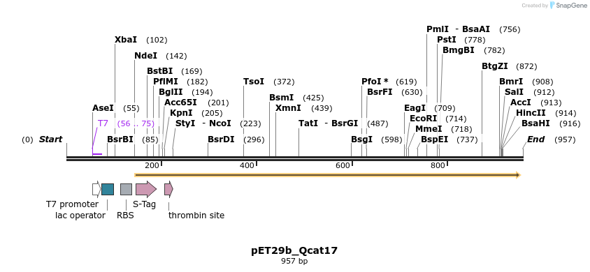 76099_map