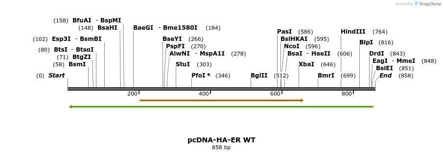 76102_map