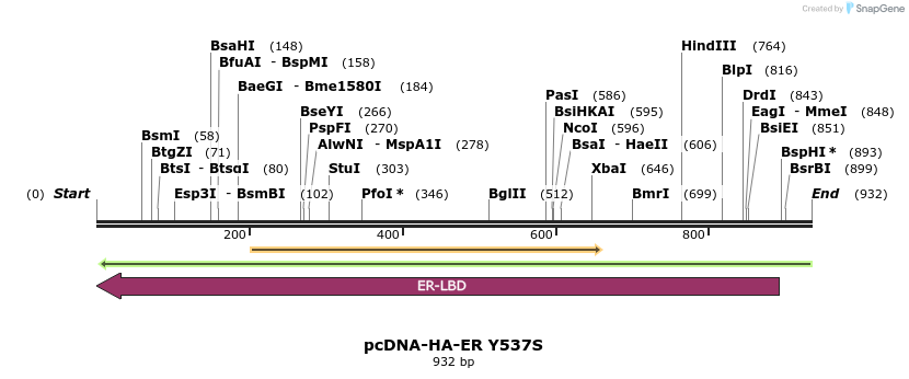 76103_map