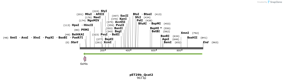 76111_map