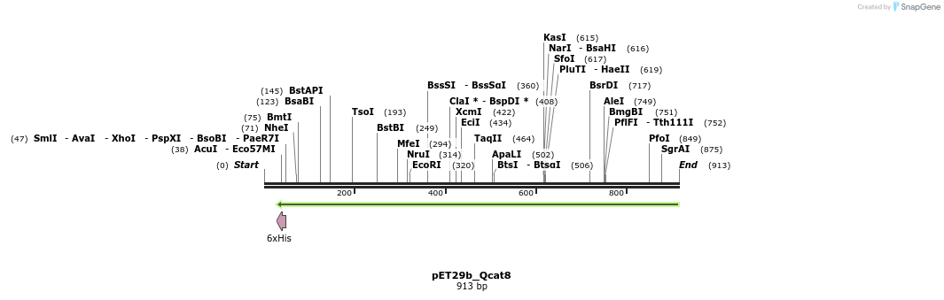 76117_map