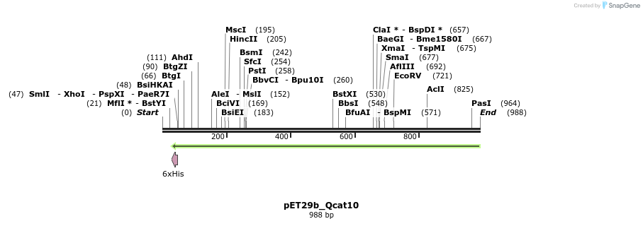 76119_map