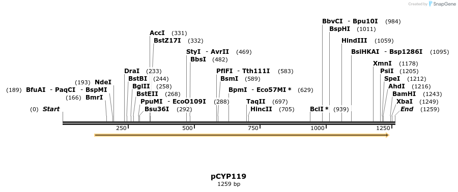 76126_map