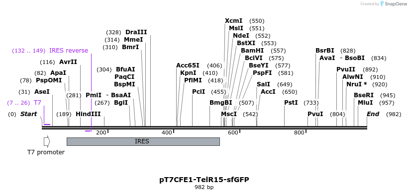 76129_map