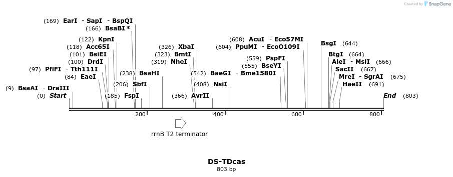 76131_map