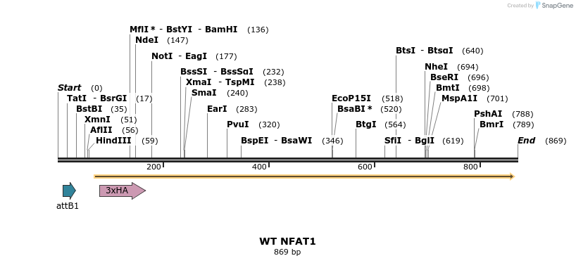 76140_map