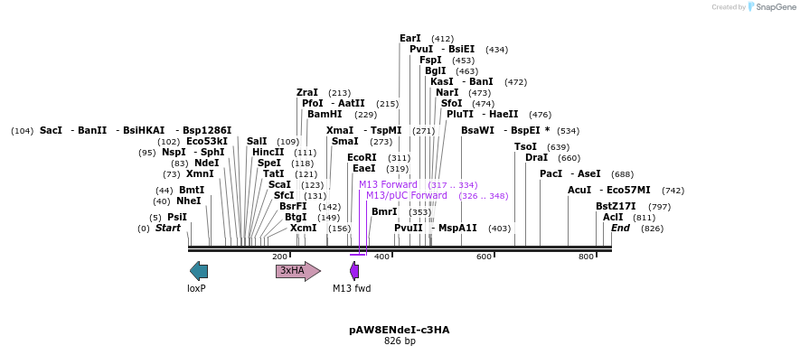 76142_map