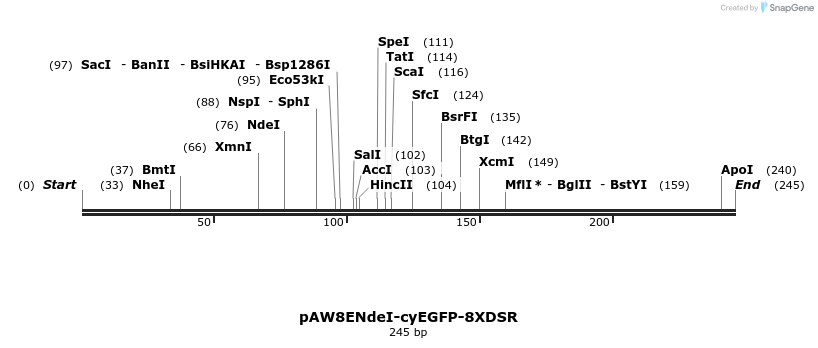 76144_map