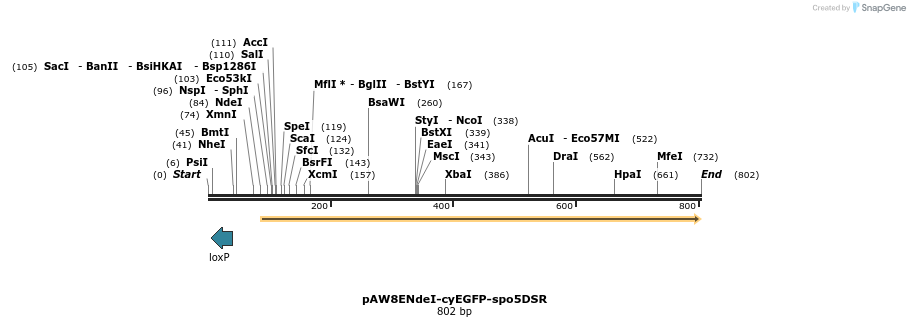 76146_map