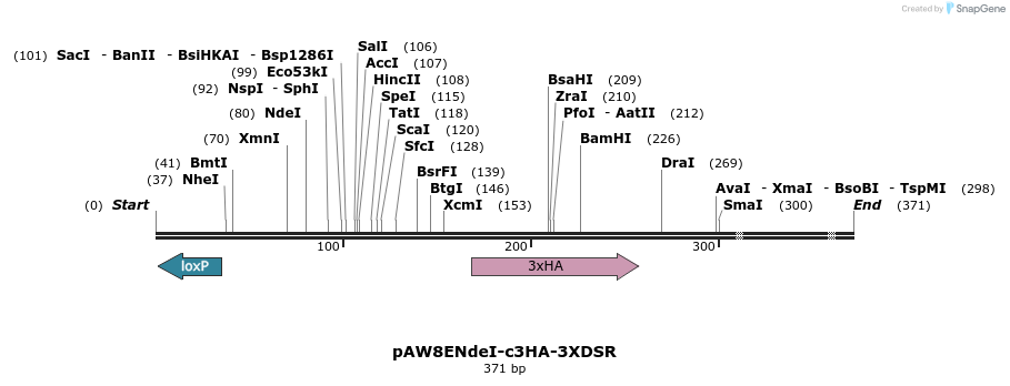 76147_map