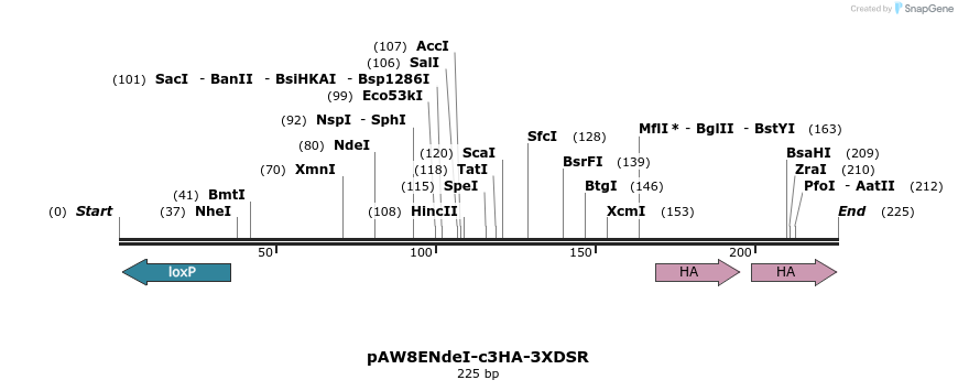 76148_map