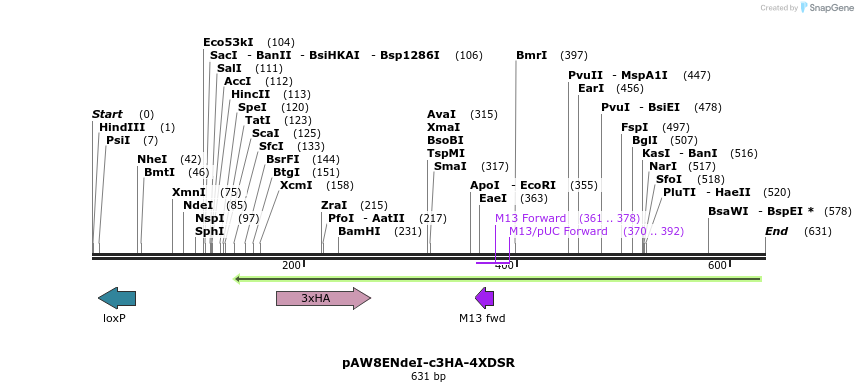 76149_map