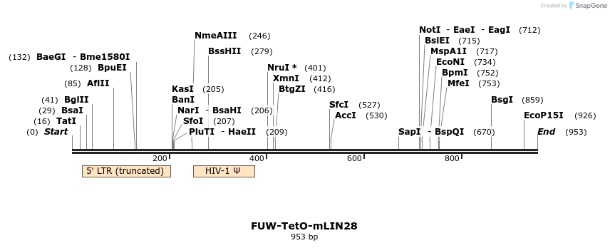 76150_map