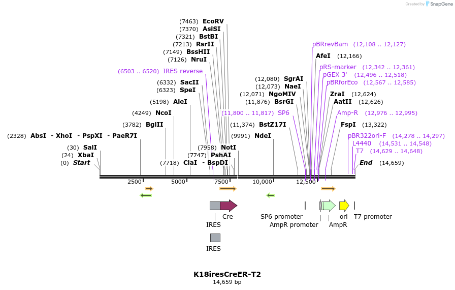 76151_map