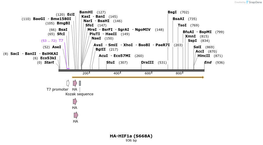 76152_map