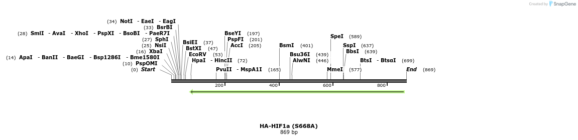 76153_map