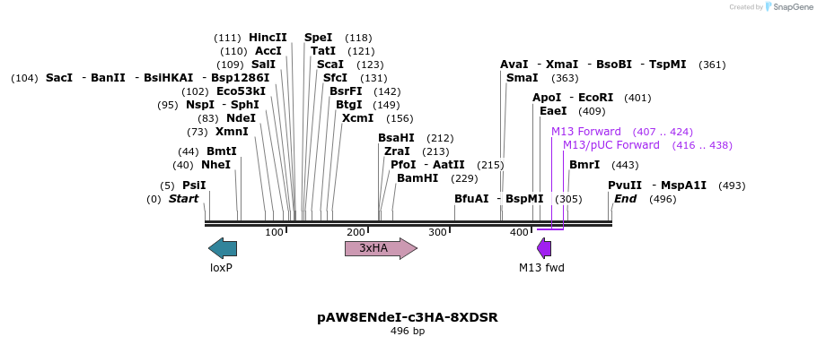 76157_map