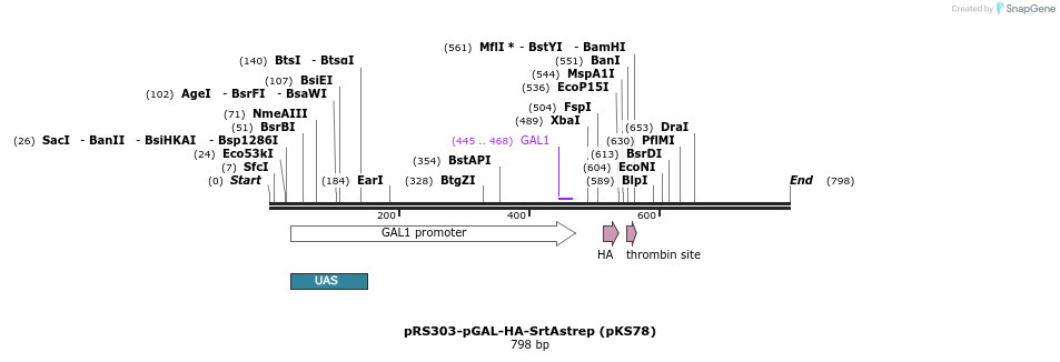 76161_map