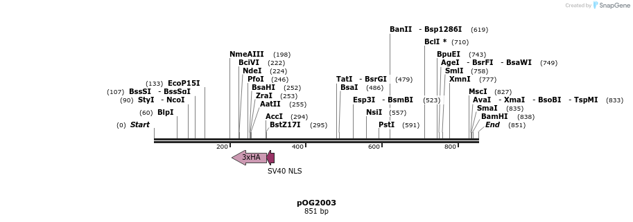 76163_map