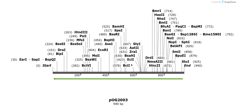 76164_map