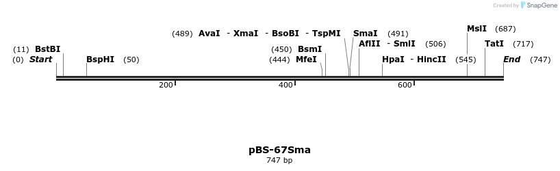 76167_map