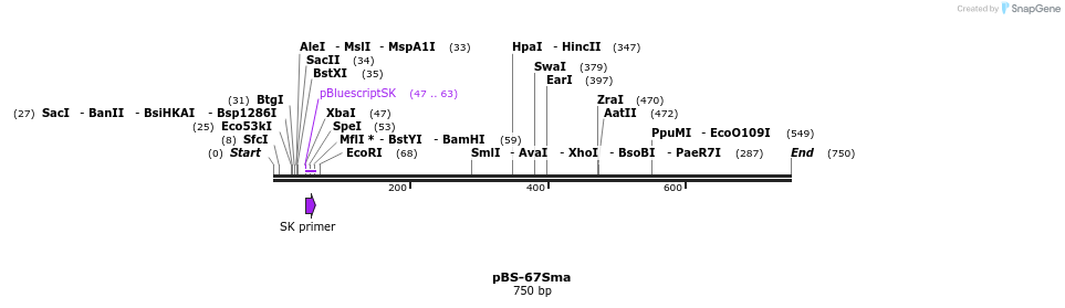 76168_map