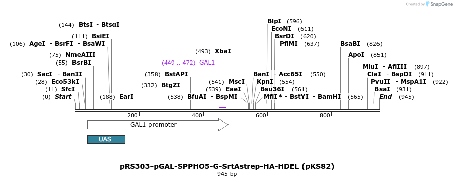 76170_map