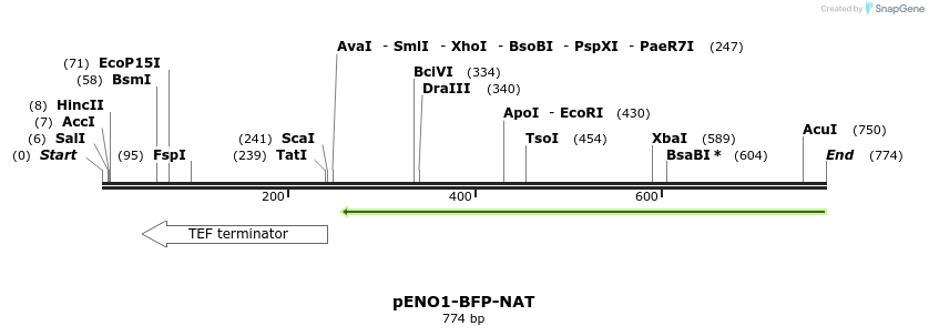 76174_map