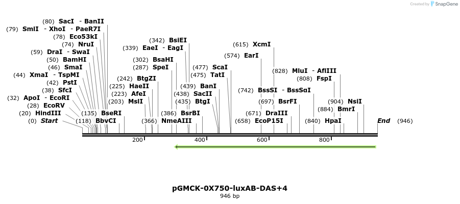 76175_map