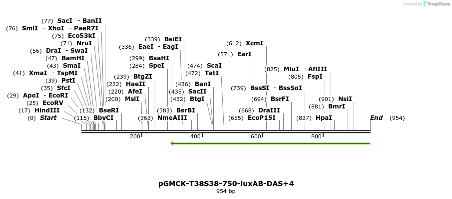 76178_map