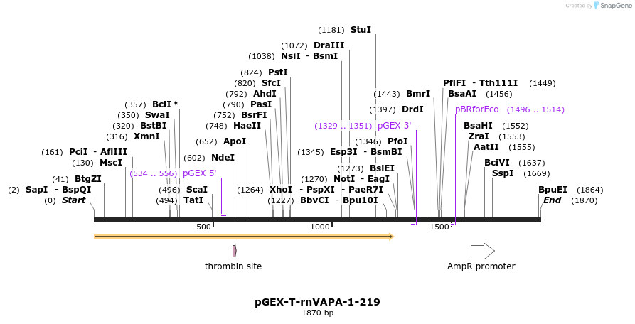 7618_map