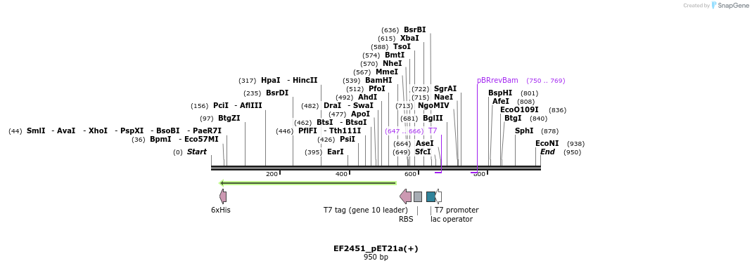 76180_map