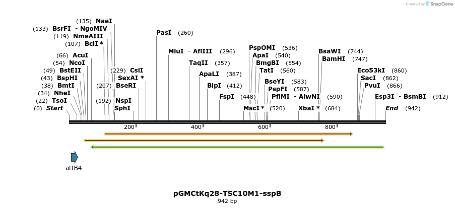 76181_map