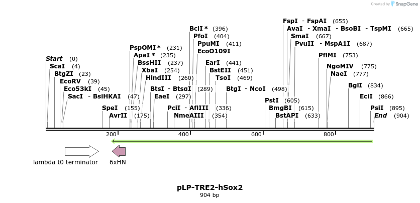 76184_map