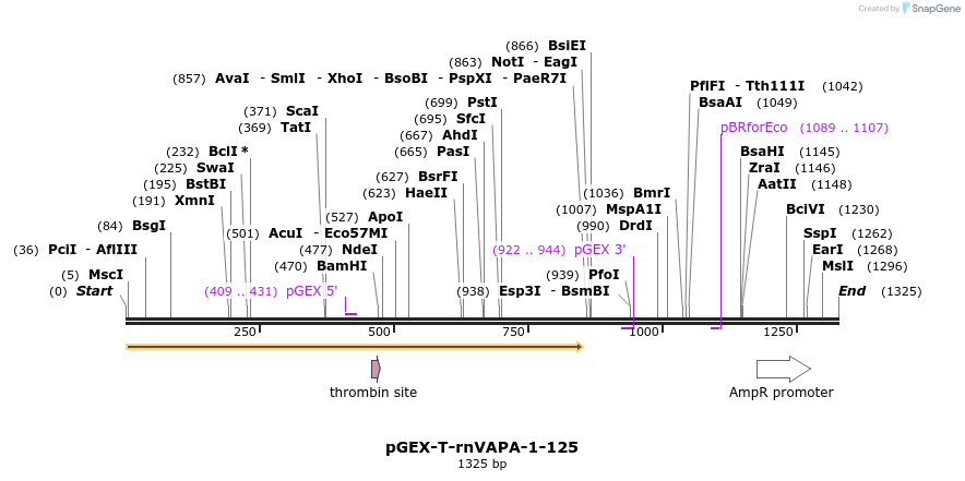 7619_map